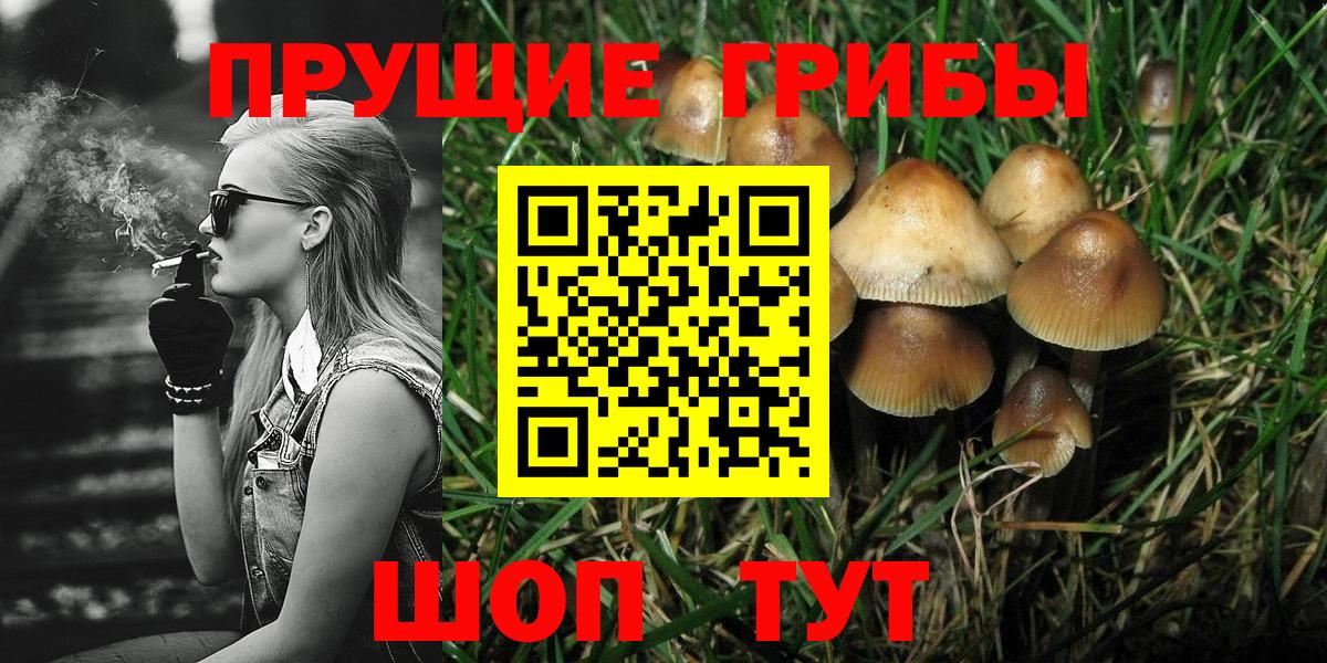 Псилоцибиновые грибы GOLDEN TEACHER Канаш