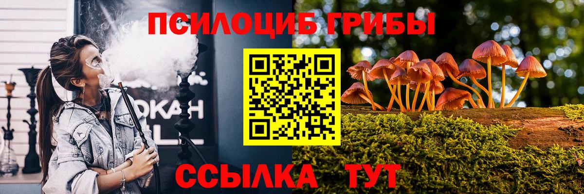 Канаш  Галлюциногенные грибы Psilocybine cubensis  дарнет шоп  Вход с VPN 
