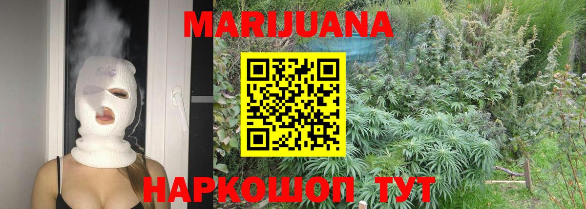 Бошки Шишки план  Вход с VPN  Канаш  Канабис гибрид 